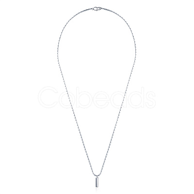 Stainless Steel Pendant Necklaces AO9889-2-1