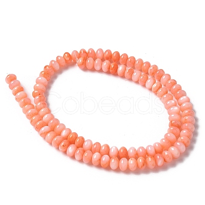Natural Freshwater Shell Beads Strands SSHEL-C013-07A-1