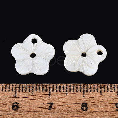 Natural Freshwater Shell Buttons SHEL-N038-11-1
