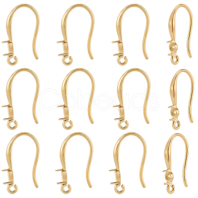 12Pcs 304 Stainless Steel Earring Hooks STAS-BBC0008-76-1