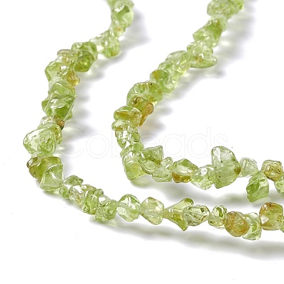 Natural Peridot Chip Beads Strands G-G905-09-1