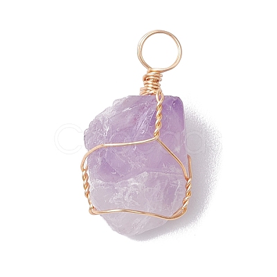 Raw Rough Natural Amethyst Copper Wire Wrapped Pendants PALLOY-JF02787-02-1