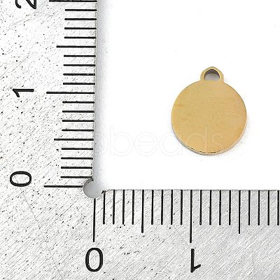 304 Stainless Steel Enamel Charms STAS-I325-063G-03-1