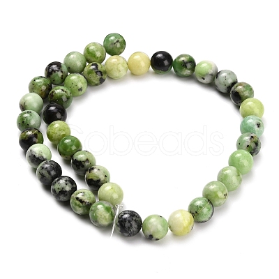 Natural Serpentine Beads Strands G-Z110-C04-10mm-1