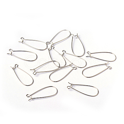 Brass Hoop Earring Wires Hook Earring Making Findings X-EC221-1