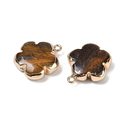 Natural Tiger Eye Pendants G-P566-01G-07-1