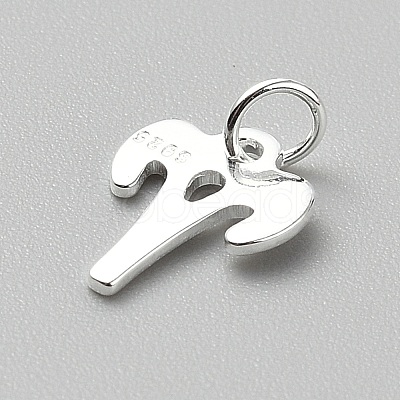 925 Sterling Silver Twelve Constellations Charms STER-WH0005-19S-02-1