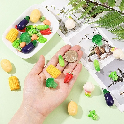 30Pcs 10 Styles Resin Pendants RESI-YW0004-20-1