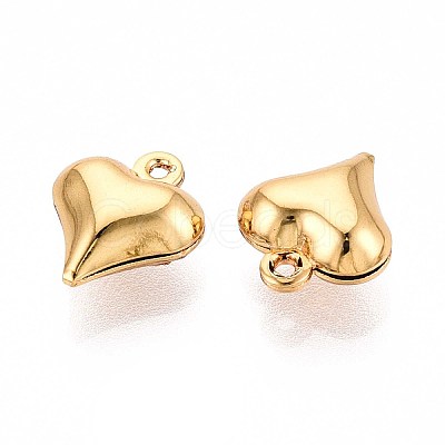 304 Stainless Steel Charms X-STAS-N118-12G-1