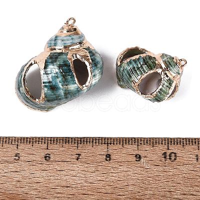 Electroplated Golden Brass Edged Natural Spiral Shell Pendants SSHEL-Q101-02-1