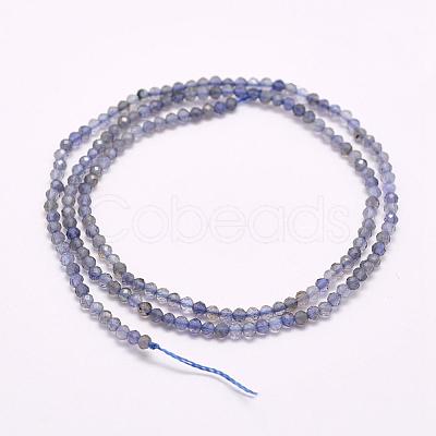 Natural Cordierite/Iolite/Dichroite Beads Strands G-F509-15-3mm-1