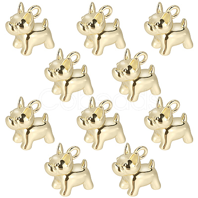 10Pcs Brass Charms KK-BBC0024-48-1