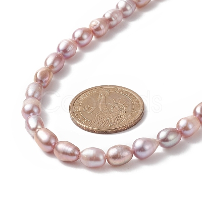 Natural Pearl Beaded Necklace for Women NJEW-JN04188-03-1