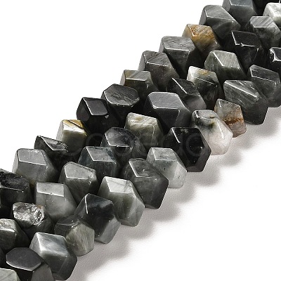 Natural Eagle Eye Stone Beads Strands G-N327-05-15-1