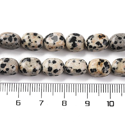 Natural Dalmatian Jasper Beads Strands G-G146-A24-01-1