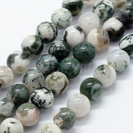 Natural Tree Agate Beads Strands G-I199-03-10mm-1