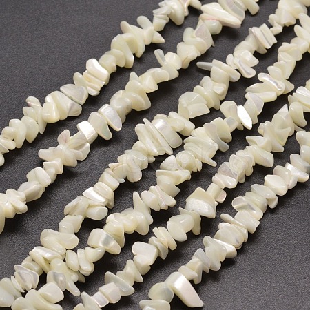 Natural White Mother of Pearl Shell Chip Bead Strands X-G-M205-63-1