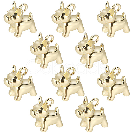 10Pcs Brass Charms KK-BBC0024-48-1