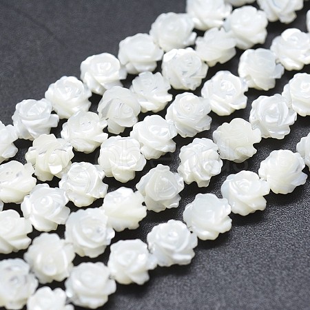 Natural White Shell Beads Strands SSHEL-P015-01A-8mm-1