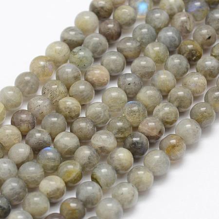 Natural Labradorite Beads Strands G-P322-33-4mm-1