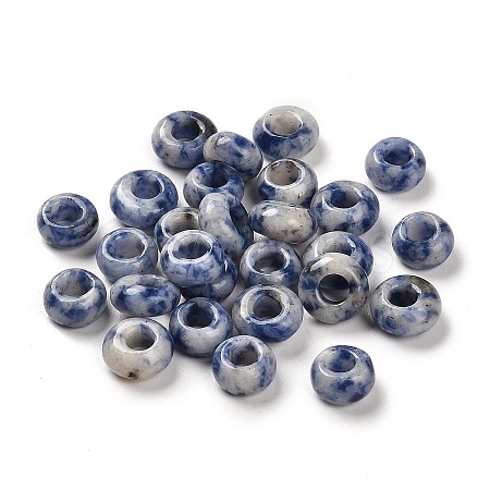 Natural Blue Spot Jasper European Beads G-R488-02B-1