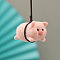 DIY Pendant Decoration Needle Felting Kit, with Iron Needles, Foam Chassis & Wool, Leather Cord, Plastic Craft Eyes, Pig, Light Salmon, 11~790x2.5~78x0.6~30mm, 10pcs/set