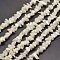 Natural White Mother of Pearl Shell Chip Bead Strands, Shell Shards, 5~15x5~8mm , Hole: 1mm, about 31.5 inch