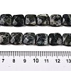Natural Kambaba Jasper Beads Strands G-T138-171-5