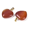 Dyed & Heated Natural Carnelian Pendants G-G956-B52-G-2