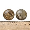 Natural Picasso Jasper Cabochons G-B085-02A-09-3