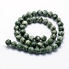 Natural Green Spot Jasper Beads Strands G-I199-30-12mm-2