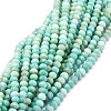 Natural Amazonite Beads Strands G-E569-I06-1