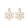 Alloy Enamel Pendants X-ENAM-D047-11LG-2