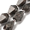 Natural Fluorescent Syenite Rock(Glow under UV Light) Beads Strands G-NH0005-B08-01-2