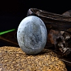 Natural Labradorite Oval Palm Stone Massager PW-WG63539-14-1