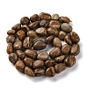 Natural Picture Jasper Beads Strands G-G146-A01-01-3
