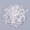 Natural Quartz Crystal Chips Beads G-K251-03-1
