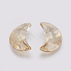 K9 Glass Rhinestone Pendants GLAA-K034-G01-2