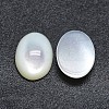 Shell Cabochons X-SSHEL-P015-59F-2