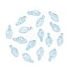 Transparent Acrylic Charms OACR-G054-02E-1