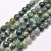Natural Moss Agate Beads Strands G-F350-6mm-1
