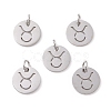 Non-Tarnish 304 Stainless Steel Charms STAS-Q201-T445-2S-2