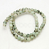 Natural Sesame Jasper/Kiwi Jasper Beads Strands G-G149-10mm-3-2