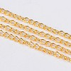 Iron Twisted Chains CHS003Y-G-FF-1