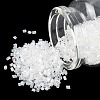 Glass Seed Beads CSDBTC01-1