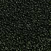 MIYUKI Round Rocailles Beads X-SEED-G009-RR0306-2
