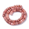 Natural Freshwater Shell Beads Strands X-BSHE-I016-04E-2