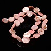 Natural Shell Beads Strands X-PBB251Y-6-2