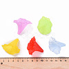 Transparent Acrylic Beads BSF796M-6