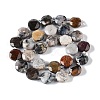 Natural African Opal Beads Strands G-NH0004-045-3